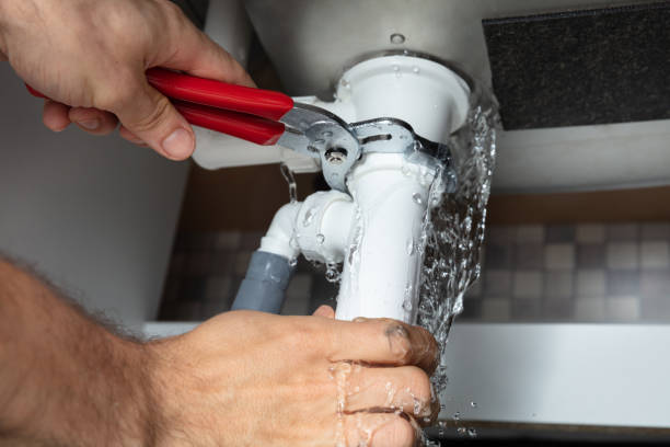 Best Flooded house restoration  in Mulberry, OH