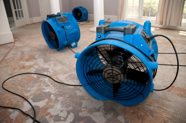 Best Water damage restoration insurance claims  in Mulberry, OH