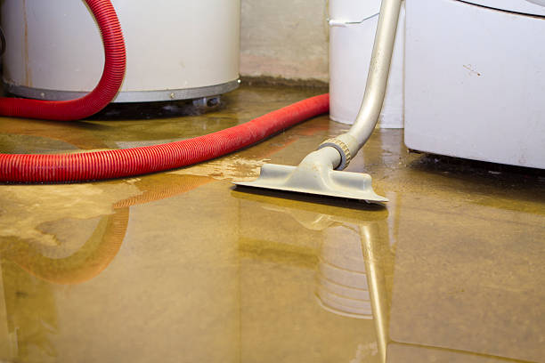 Best Commercial water damage restoration  in Mulberry, OH