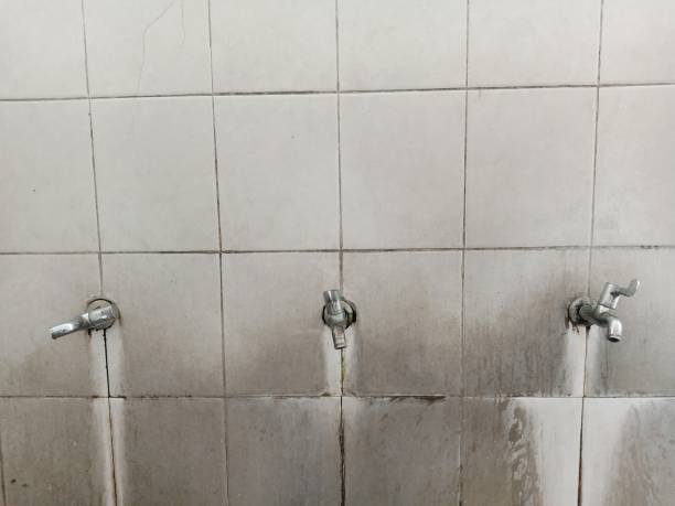 Best Ceiling water damage repair  in Mulberry, OH