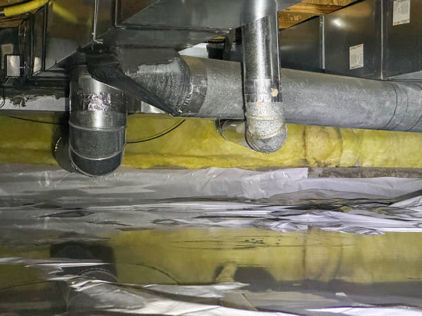 Best Sewage cleanup and water damage restoration  in Mulberry, OH