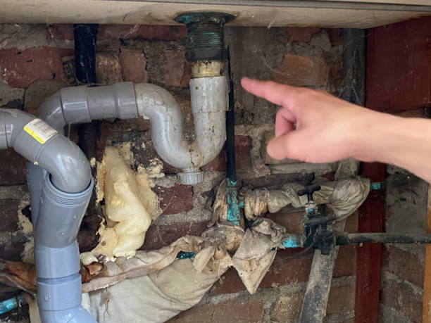 Best Water damage restoration near me  in Mulberry, OH