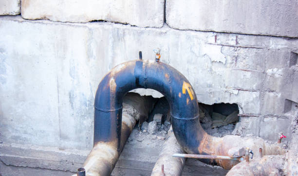 Best Flood damage cleanup  in Mulberry, OH