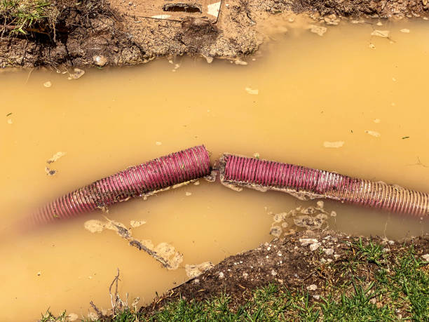 Best Water damage contractors near me  in Mulberry, OH