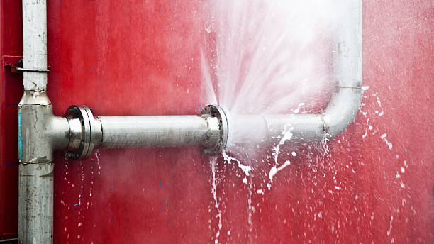 Best 24-hour water damage restoration  in Mulberry, OH